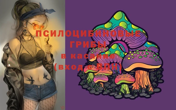 PSILOCYBIN Бугульма